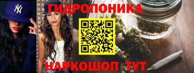 гашик Заводоуковск