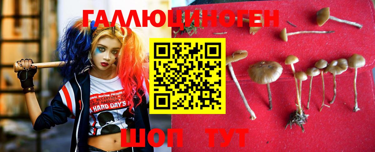 Псилоцибиновые грибы мицелий Гай