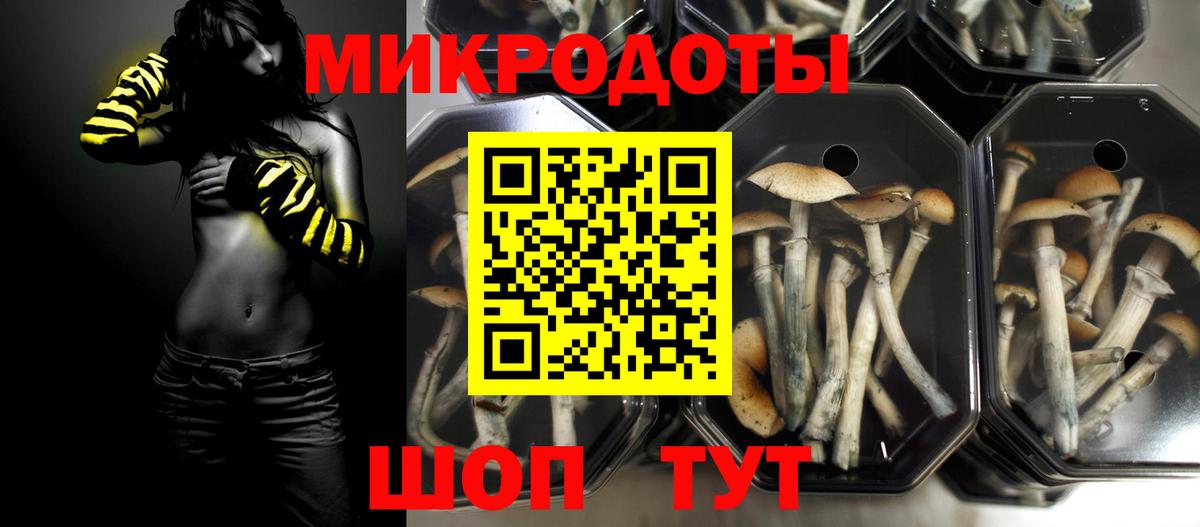 Гай  Псилоцибиновые грибы GOLDEN TEACHER  Вход с VPN 